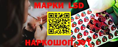 mdpv Лесосибирск