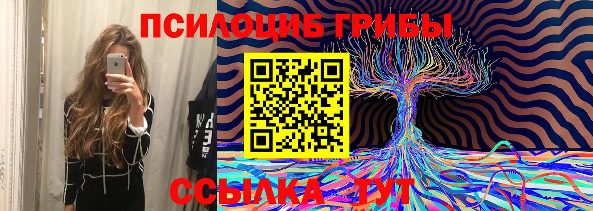 Кемерово  Галлюциногенные грибы MAGIC MUSHROOMS  Вход с VPN 